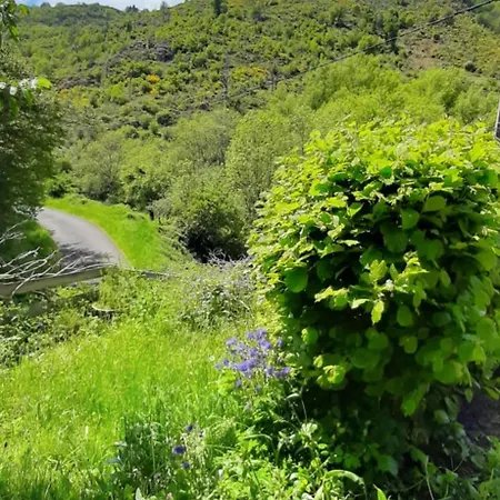 Maison En Pleine Nature