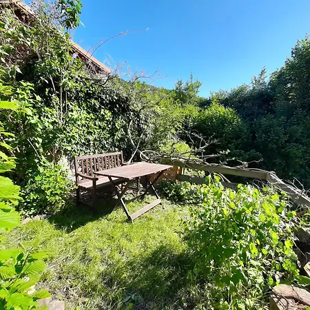 Maison En Pleine Nature